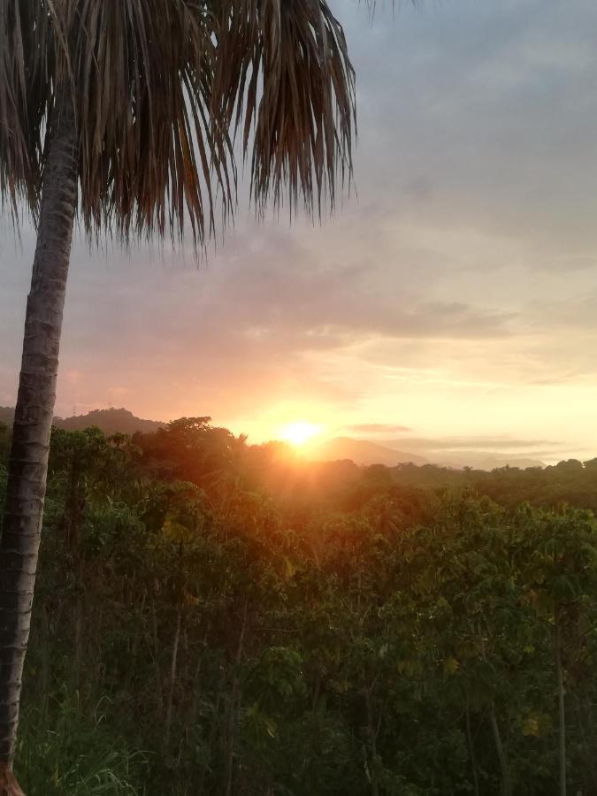 Casa Tolosa Tayrona, Los Cocos La Poza المظهر الخارجي الصورة
